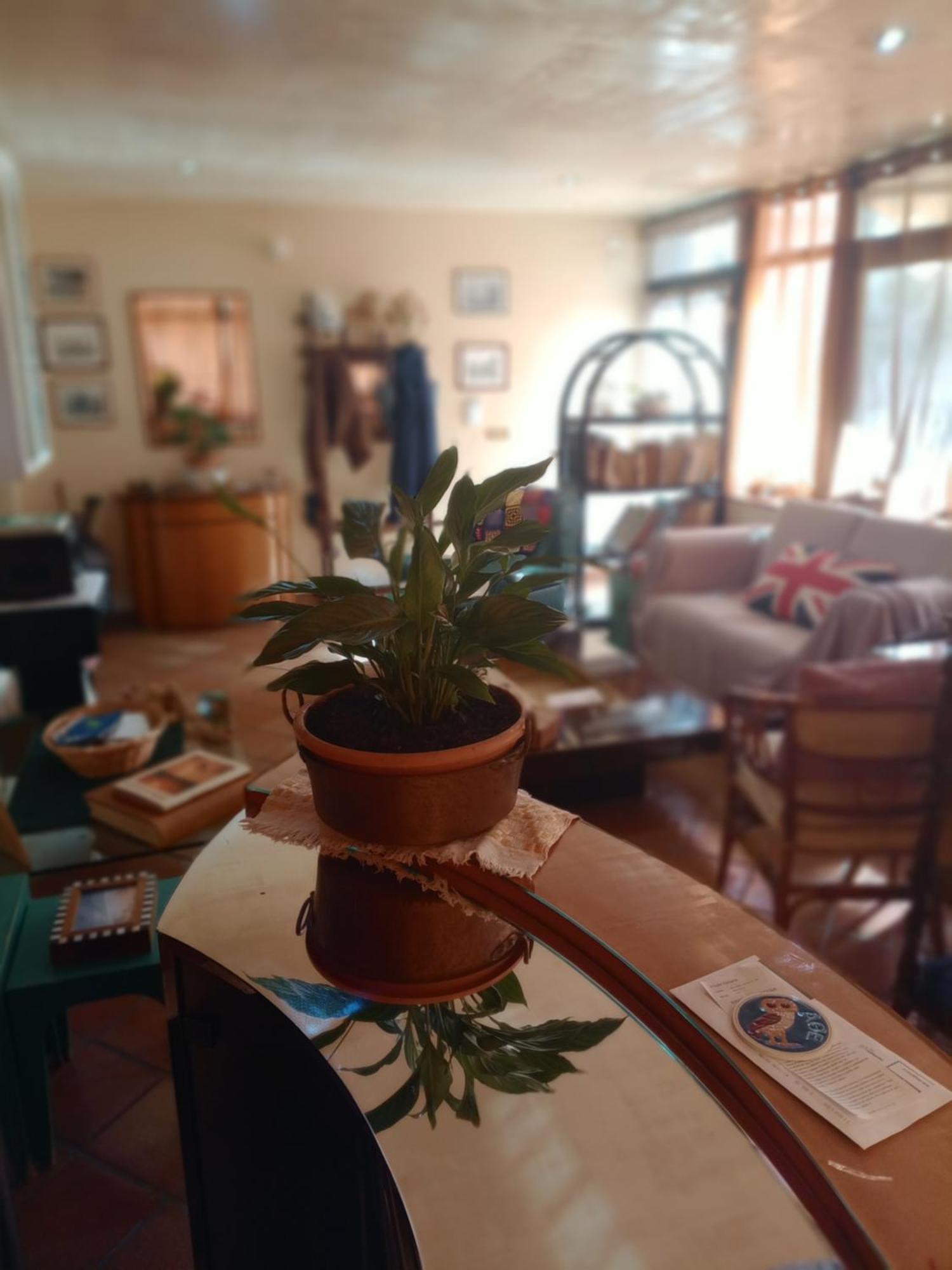 مبيت وإفطار أغريجنتو Casa Di Luca المظهر الخارجي الصورة
